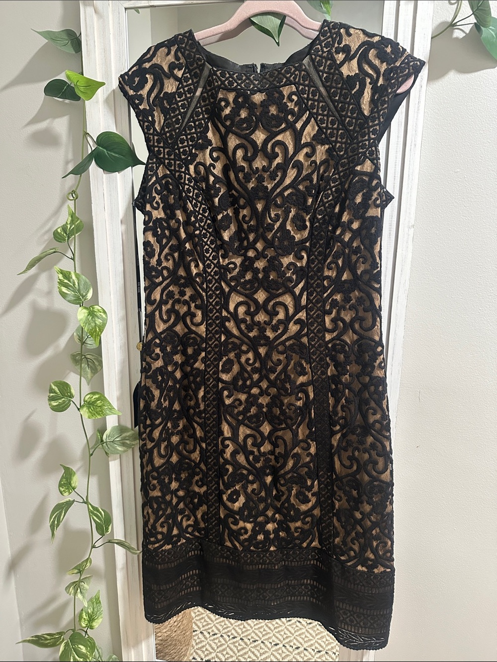 Tadashi Shoji Black Lace Overlay Dress